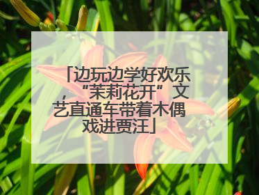 边玩边学好欢乐，“茉莉花开”文艺直通车带着木偶戏进贾汪