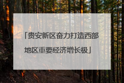 贵安新区奋力打造西部地区重要经济增长极