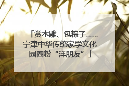 赏木雕、包粽子……宁津中华传统家学文化园圈粉“洋朋友”