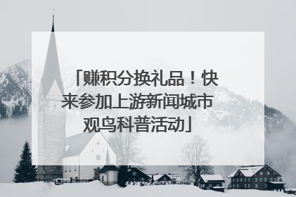 赚积分换礼品！快来参加上游新闻城市观鸟科普活动