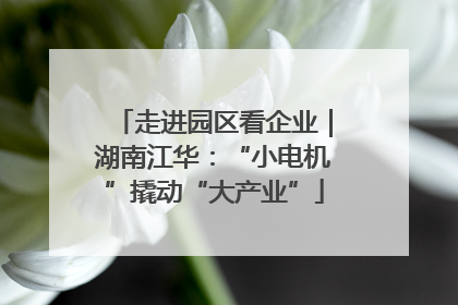 走进园区看企业｜湖南江华：“小电机”撬动“大产业”
