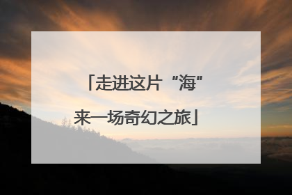 走进这片“海”来一场奇幻之旅