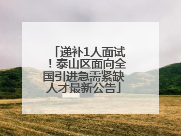递补1人面试！泰山区面向全国引进急需紧缺人才最新公告
