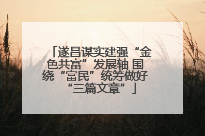 遂昌谋实建强“金色共富”发展轴 围绕“富民”统筹做好“三篇文章”
