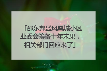 邵东邦盛凤凰城小区业委会筹备十年未果，相关部门回应来了