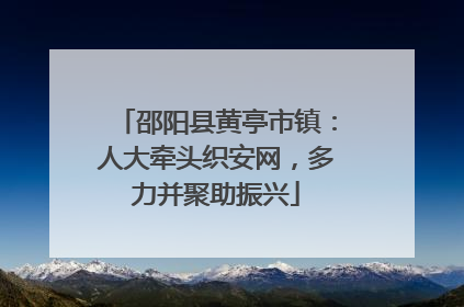 邵阳县黄亭市镇：人大牵头织安网，多力并聚助振兴