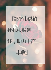 邹平市供销社扎根服务一线，助力丰产丰收