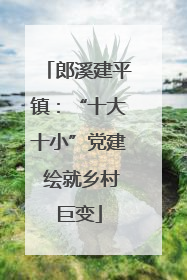 郎溪建平镇：“十大十小”党建 绘就乡村巨变