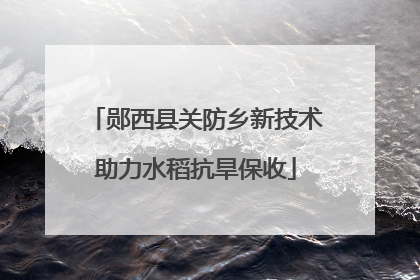 郧西县关防乡新技术助力水稻抗旱保收