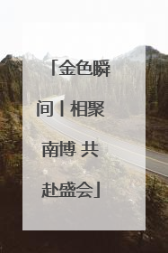 金色瞬间丨相聚南博 共赴盛会