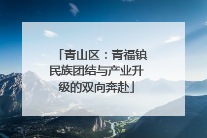 青山区：青福镇民族团结与产业升级的双向奔赴