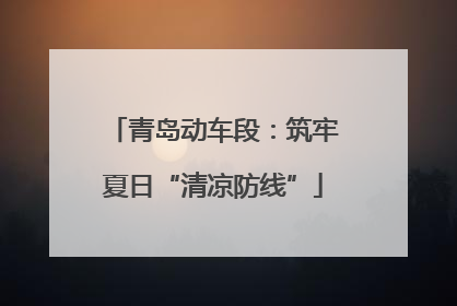 青岛动车段：筑牢夏日“清凉防线”