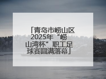 青岛市崂山区2025年“崂山湾杯”职工足球赛圆满落幕