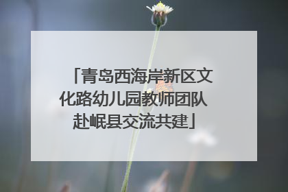 青岛西海岸新区文化路幼儿园教师团队赴岷县交流共建