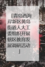 青岛西海岸新区黄岛街道人大工委组织开展辖区教育发展调研活动