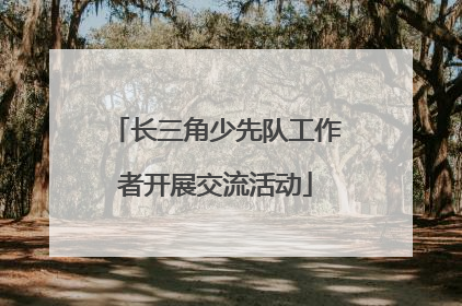 长三角少先队工作者开展交流活动