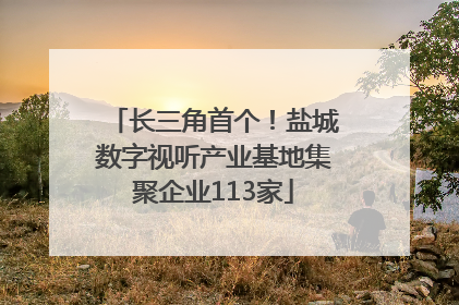 长三角首个！盐城数字视听产业基地集聚企业113家
