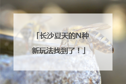长沙夏天的N种新玩法找到了！