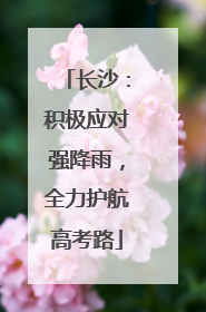 长沙：积极应对强降雨，全力护航高考路