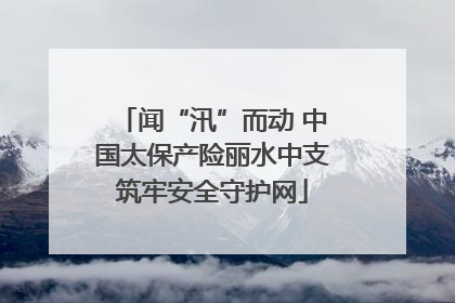 闻“汛”而动 中国太保产险丽水中支筑牢安全守护网