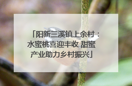 阳新三溪镇上余村：水蜜桃喜迎丰收 甜蜜产业助力乡村振兴