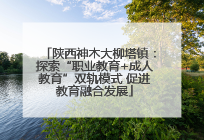 陕西神木大柳塔镇：探索“职业教育+成人教育”双轨模式 促进教育融合发展