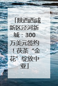 陕西西咸新区泾河新城：300万美元签约！茯茶“金花”绽放中亚