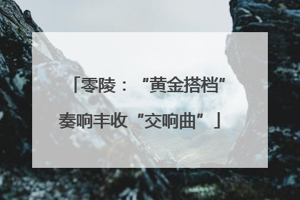 零陵：“黄金搭档”奏响丰收“交响曲”