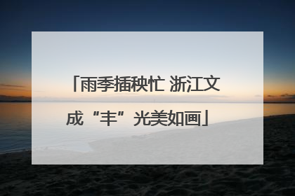 雨季插秧忙 浙江文成“丰”光美如画