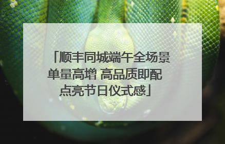 顺丰同城端午全场景单量高增 高品质即配点亮节日仪式感
