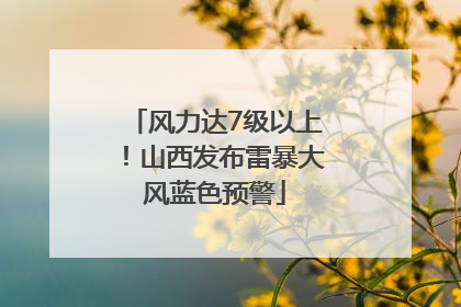 风力达7级以上！山西发布雷暴大风蓝色预警