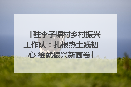 驻李子塘村乡村振兴工作队：扎根热土践初心 绘就振兴新画卷