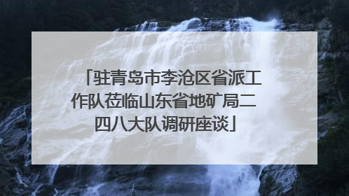 驻青岛市李沧区省派工作队莅临山东省地矿局二四八大队调研座谈