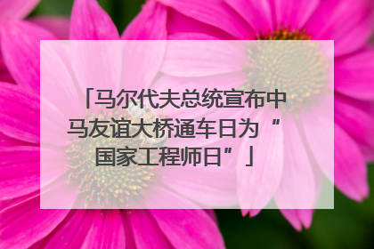 马尔代夫总统宣布中马友谊大桥通车日为“国家工程师日”