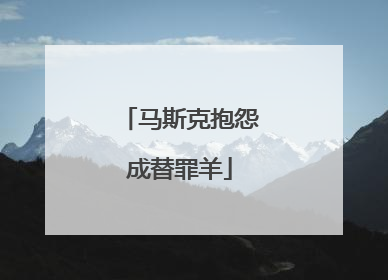 马斯克抱怨成替罪羊