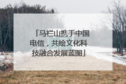 马栏山携手中国电信，共绘文化科技融合发展蓝图