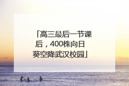 高三最后一节课后，400株向日葵空降武汉校园