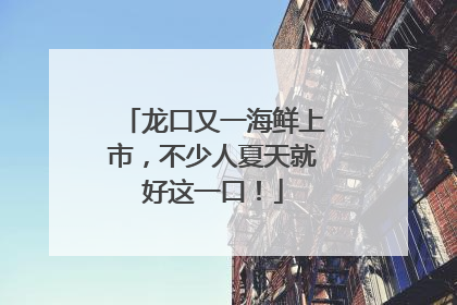 龙口又一海鲜上市，不少人夏天就好这一口！