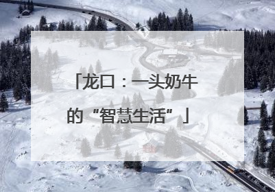 龙口：一头奶牛的“智慧生活”