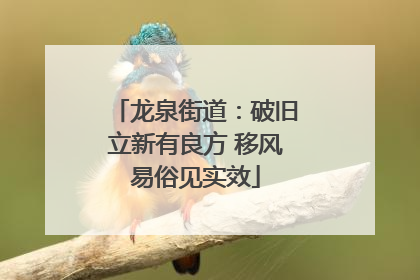 龙泉街道：破旧立新有良方 移风易俗见实效