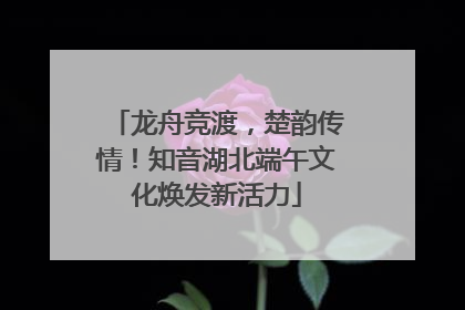龙舟竞渡，楚韵传情！知音湖北端午文化焕发新活力