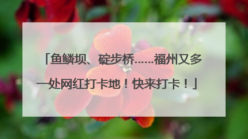 鱼鳞坝、碇步桥……福州又多一处网红打卡地！快来打卡！