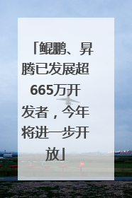 鲲鹏、昇腾已发展超665万开发者，今年将进一步开放