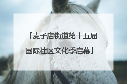 麦子店街道第十五届国际社区文化季启幕