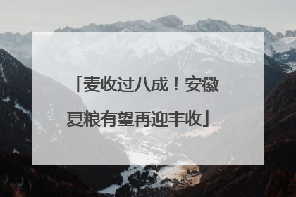 麦收过八成！安徽夏粮有望再迎丰收