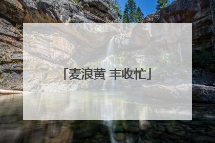 麦浪黄 丰收忙
