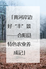 黄河岸边好“丰”景——合阳县特色农业养成记