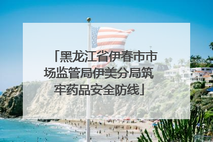 黑龙江省伊春市市场监管局伊美分局筑牢药品安全防线