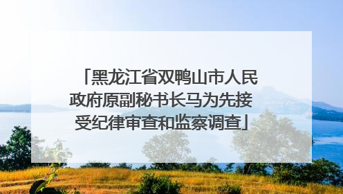 黑龙江省双鸭山市人民政府原副秘书长马为先接受纪律审查和监察调查