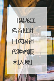 黑龙江省首批进口法国祖代种鸡顺利入境
